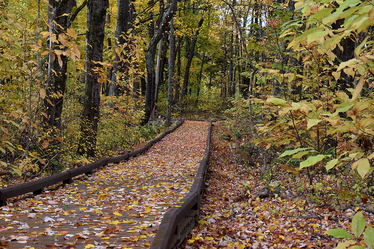 Victory Trail