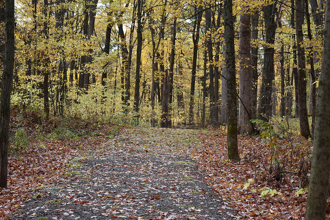 Victory Trail