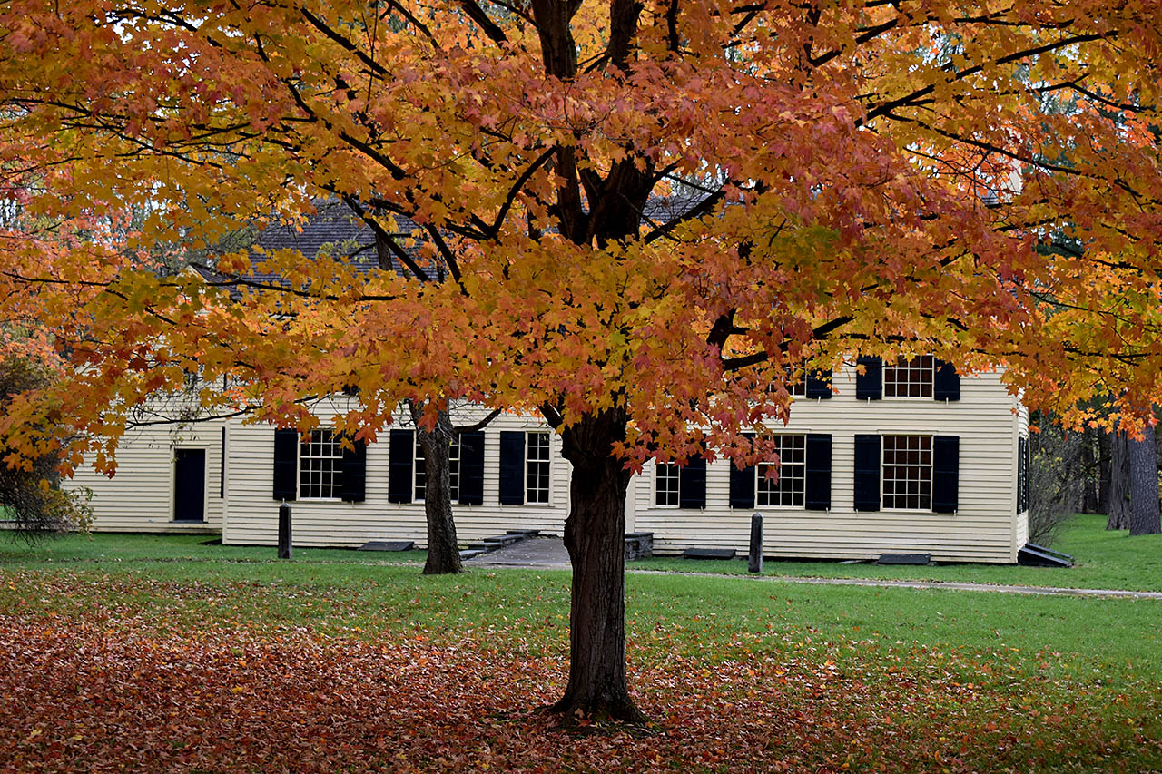 Schuyler House Stretch