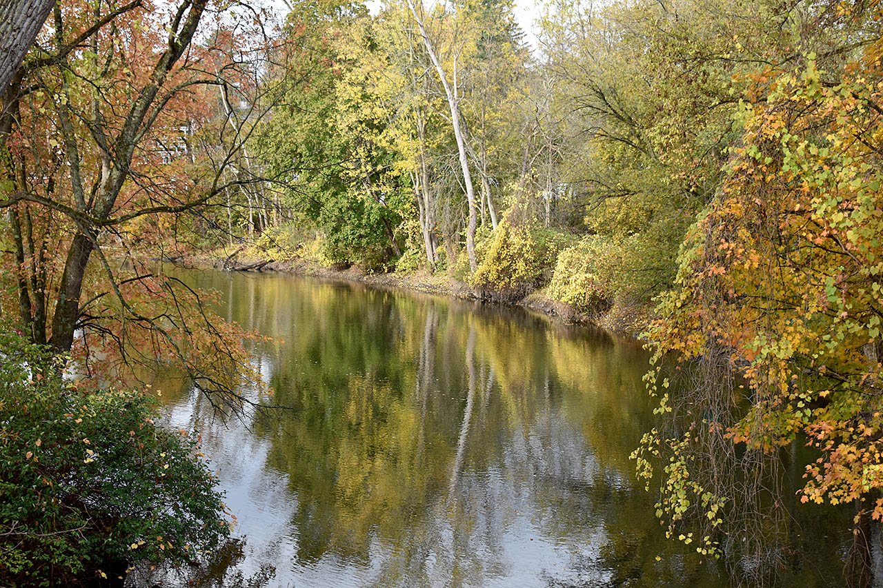 Schuyler House Stretch