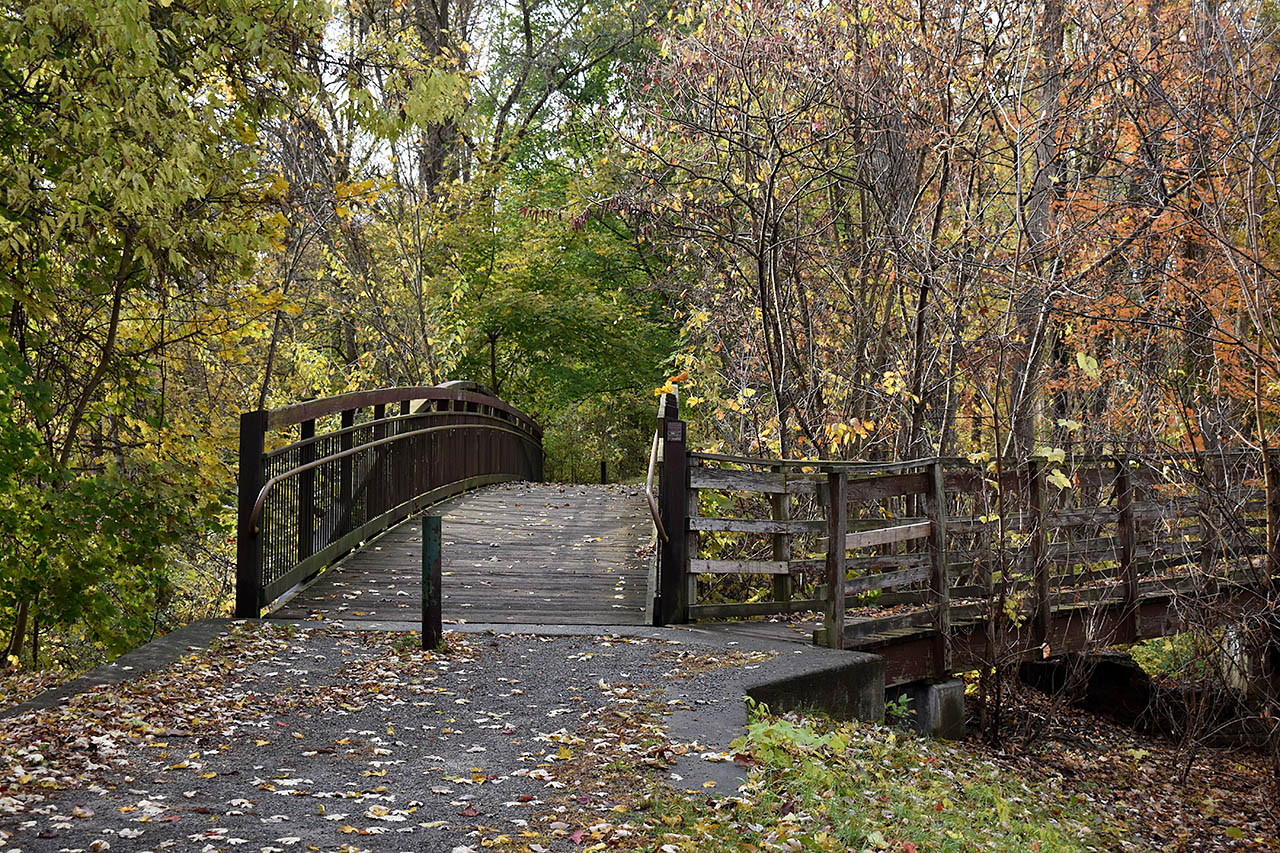 Schuyler House Stretch