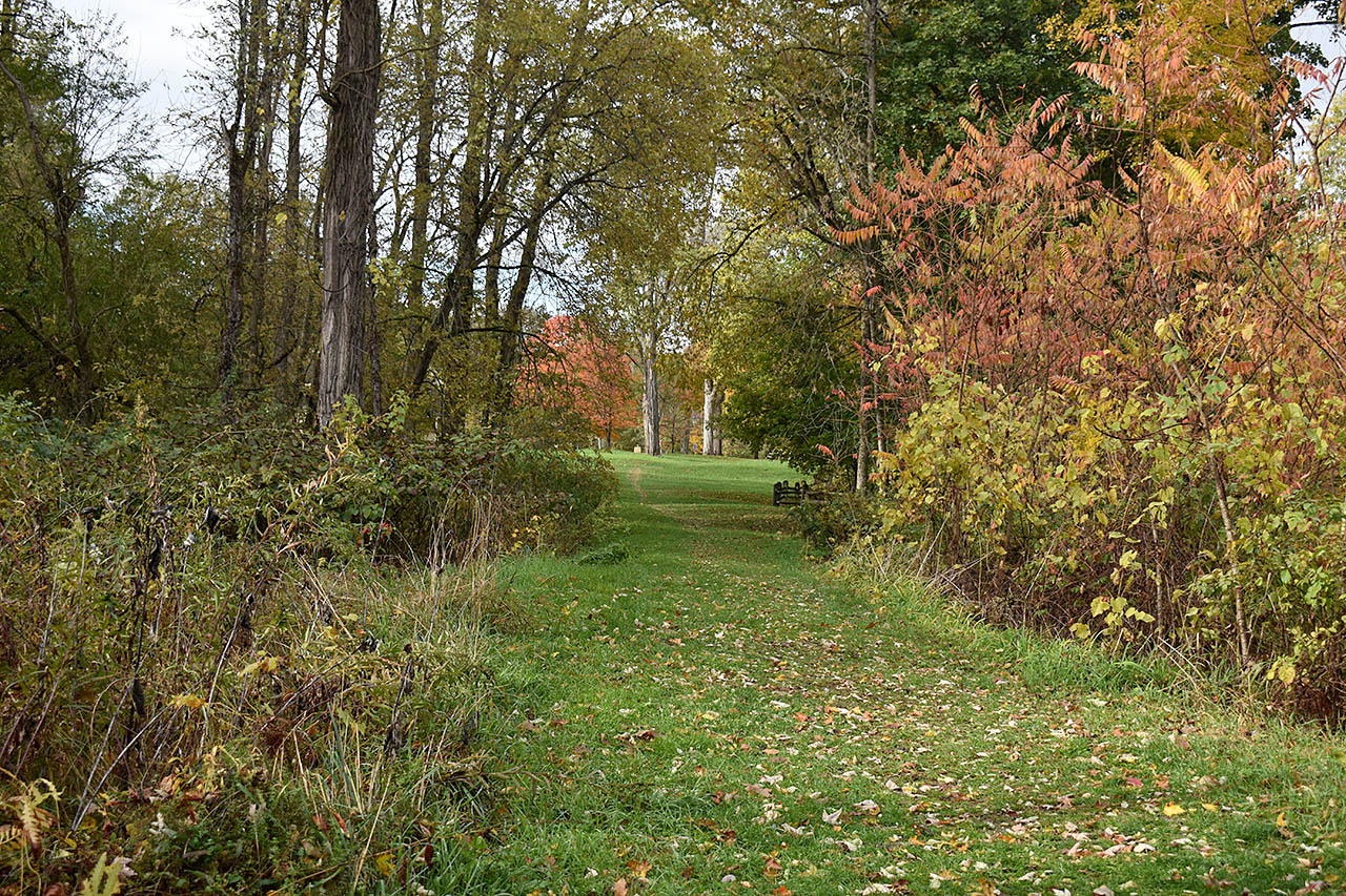 Schuyler House Stretch