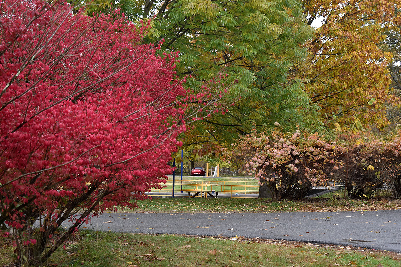 Canal Trail – Lock 5 & Canal Stretch