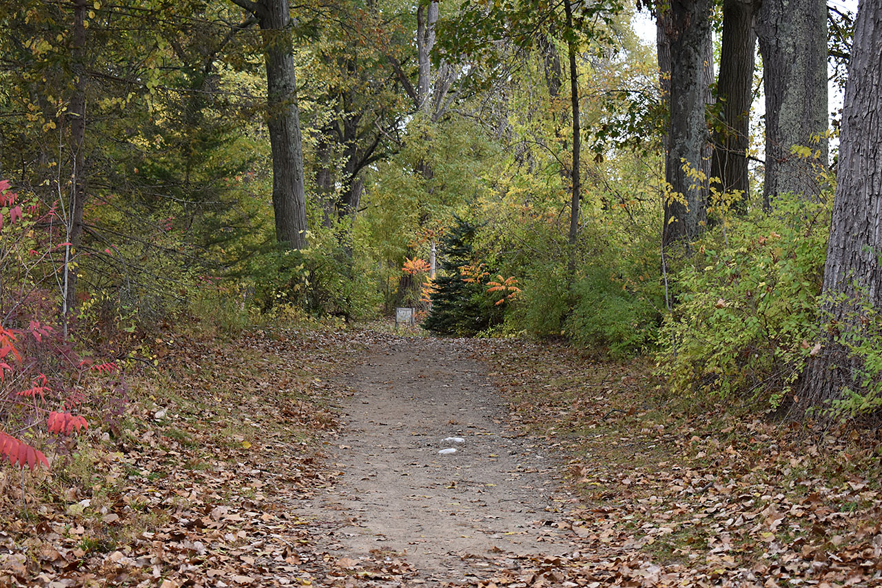 Canal Trail – Lock 5 & Canal Stretch