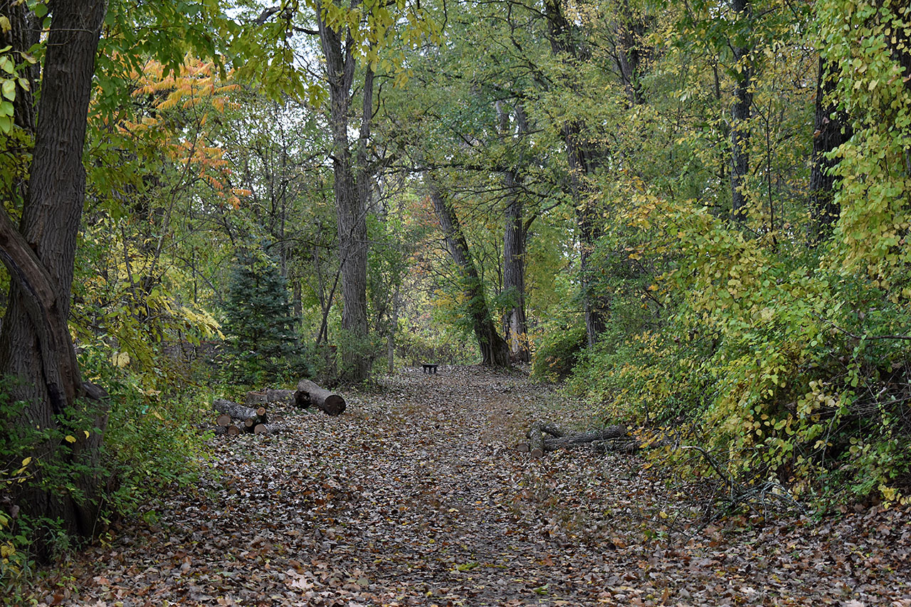 Canal Trail – Lock 5 & Canal Stretch