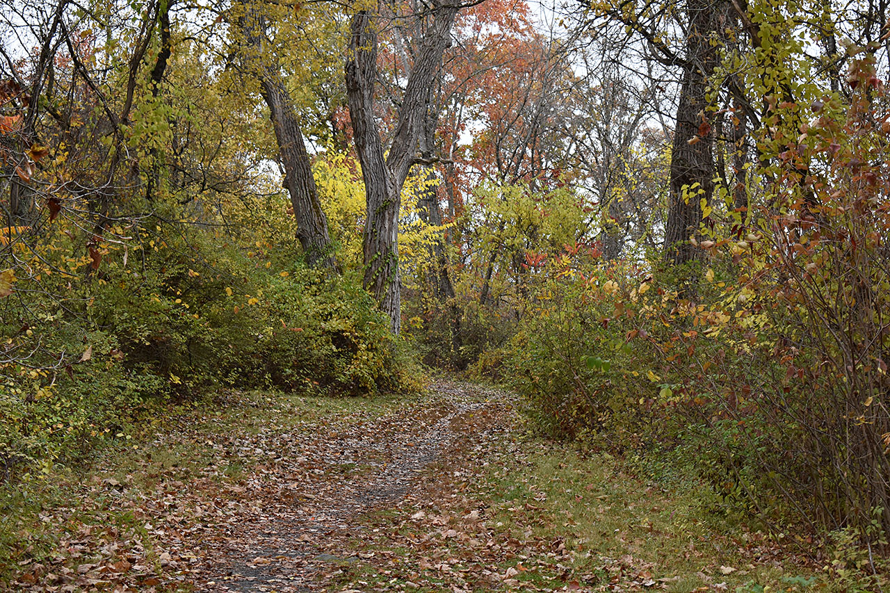 Canal Trail – Lock 5 & Canal Stretch