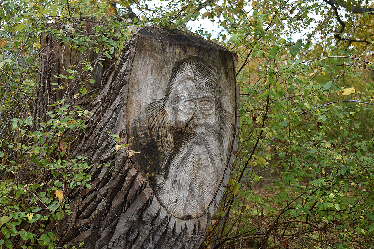 Canal Trail – Lock 5 & Canal Stretch