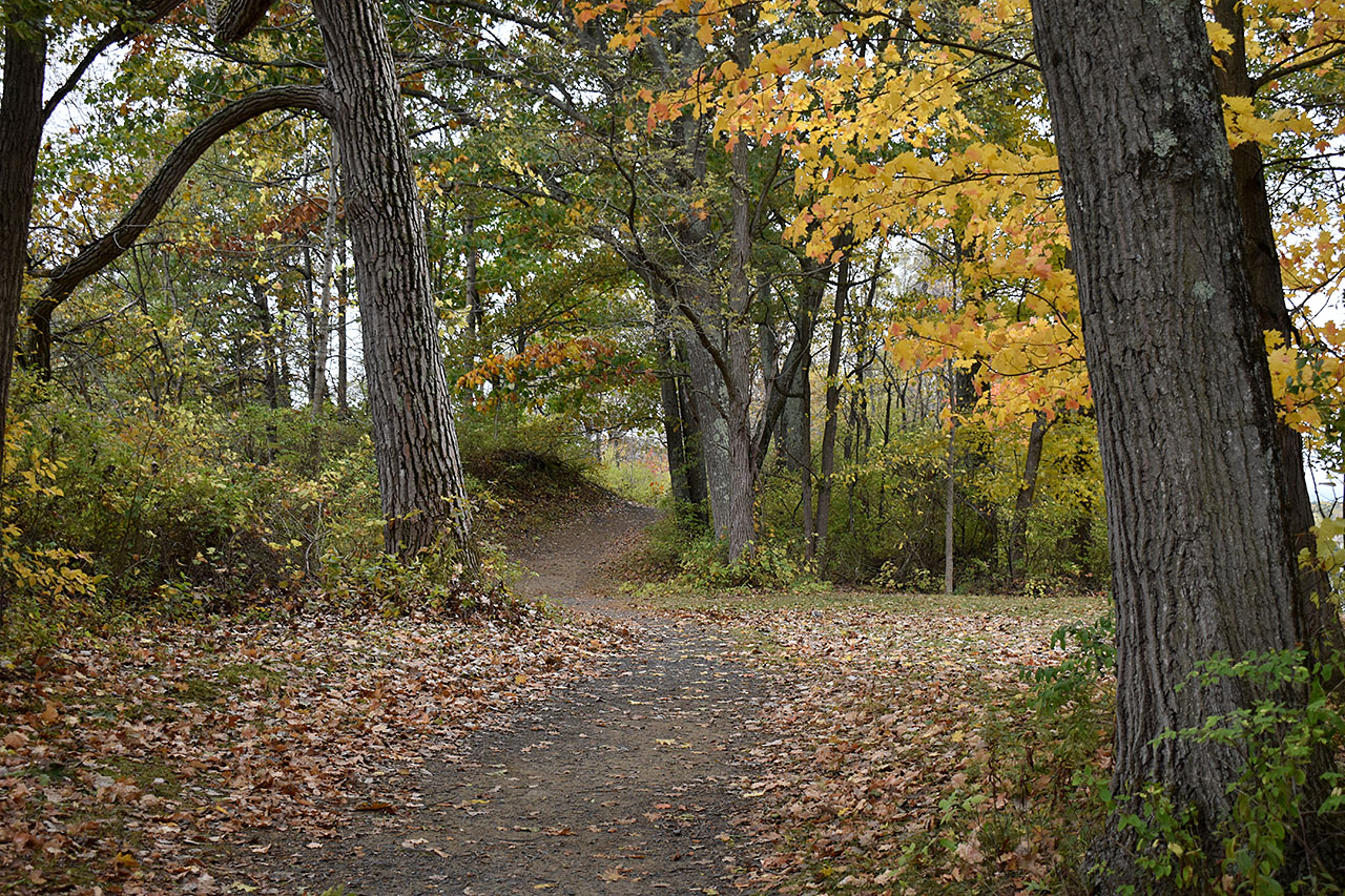 Canal Trail – Lock 5 & Canal Stretch