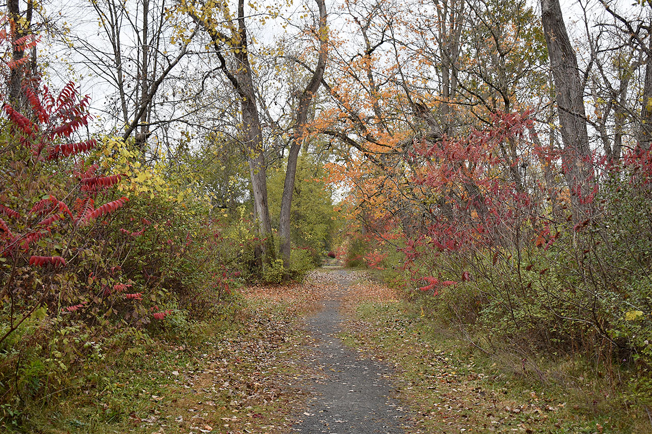 Canal Trail – Lock 5 & Canal Stretch