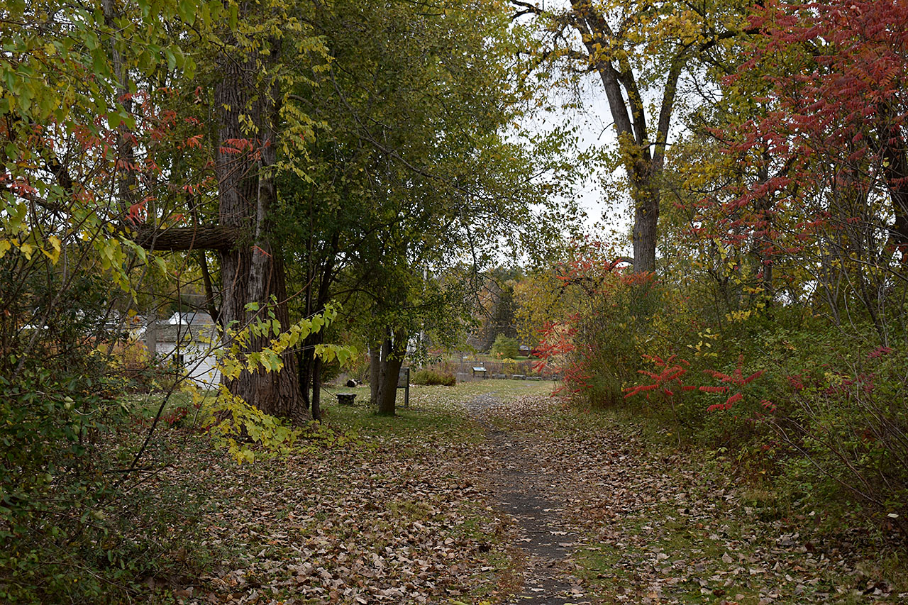 Canal Trail – Lock 5 & Canal Stretch