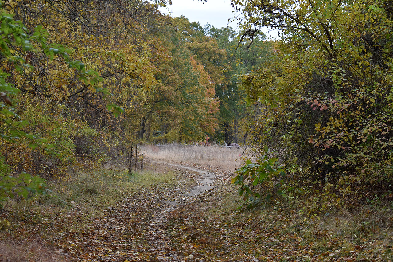 Canal Trail – Hudson River Stretch