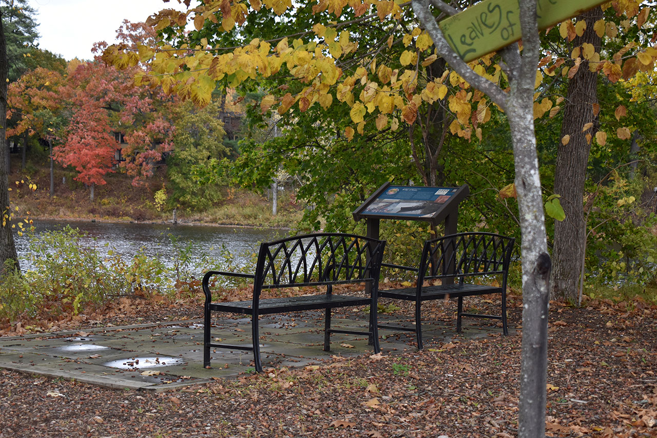Canal Trail – Hudson River Stretch