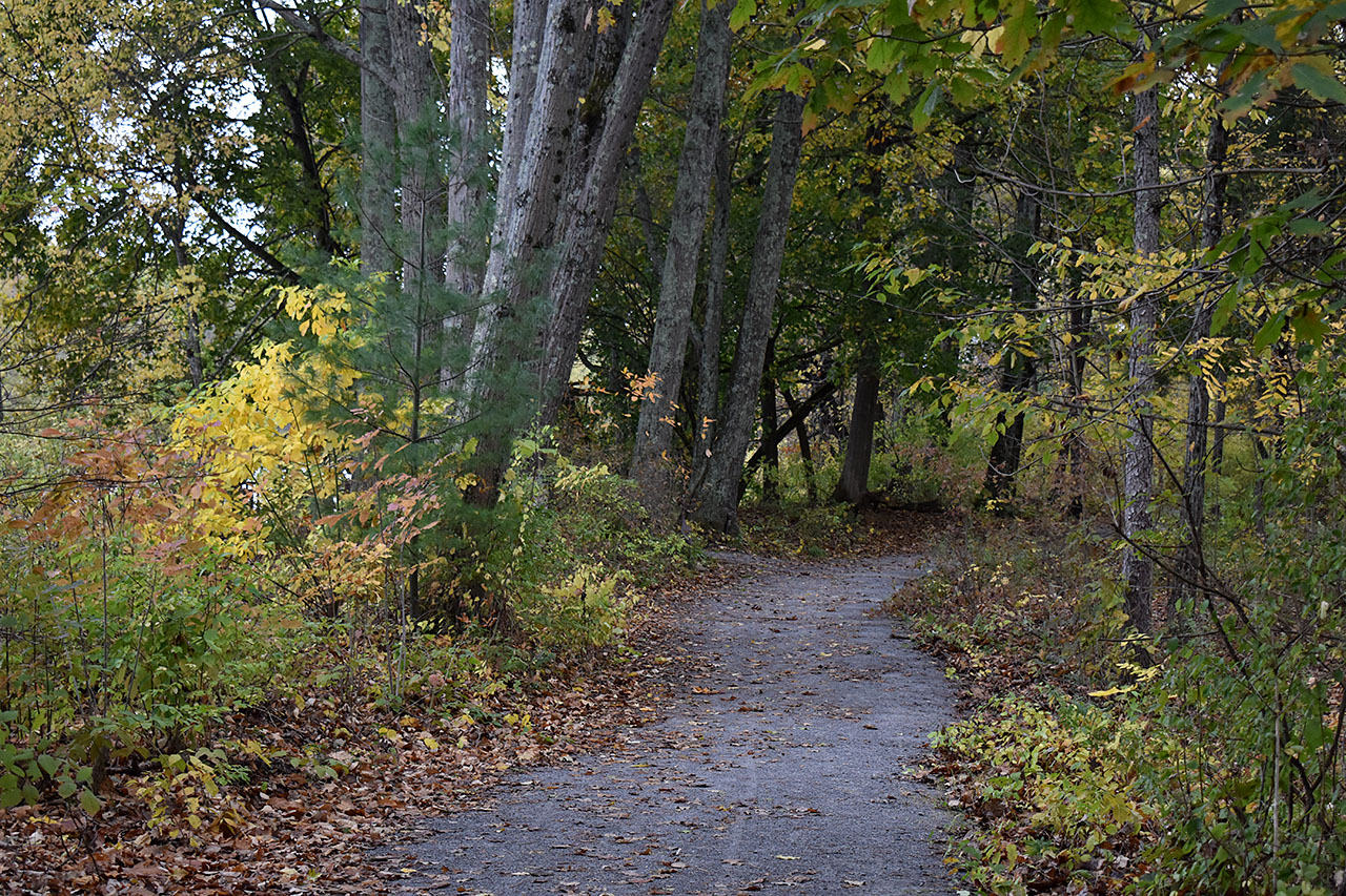 Canal Trail – Hudson River Stretch