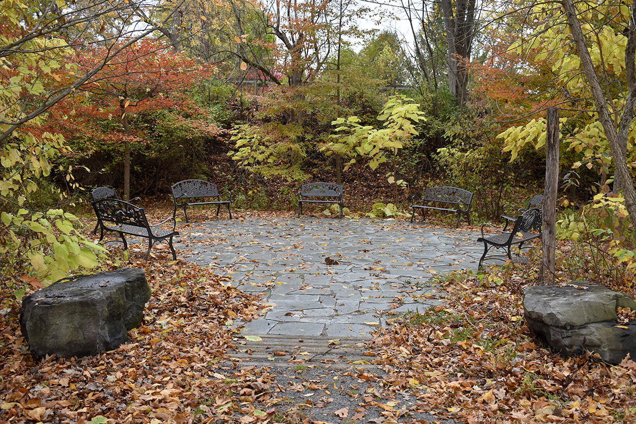 Canal Trail – Hudson River Stretch